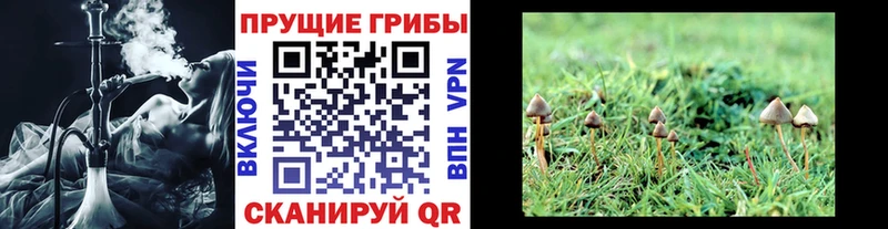Галлюциногенные грибы GOLDEN TEACHER OMG ONION Шенкурск